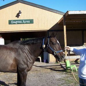 Meet your Posher, Debbie